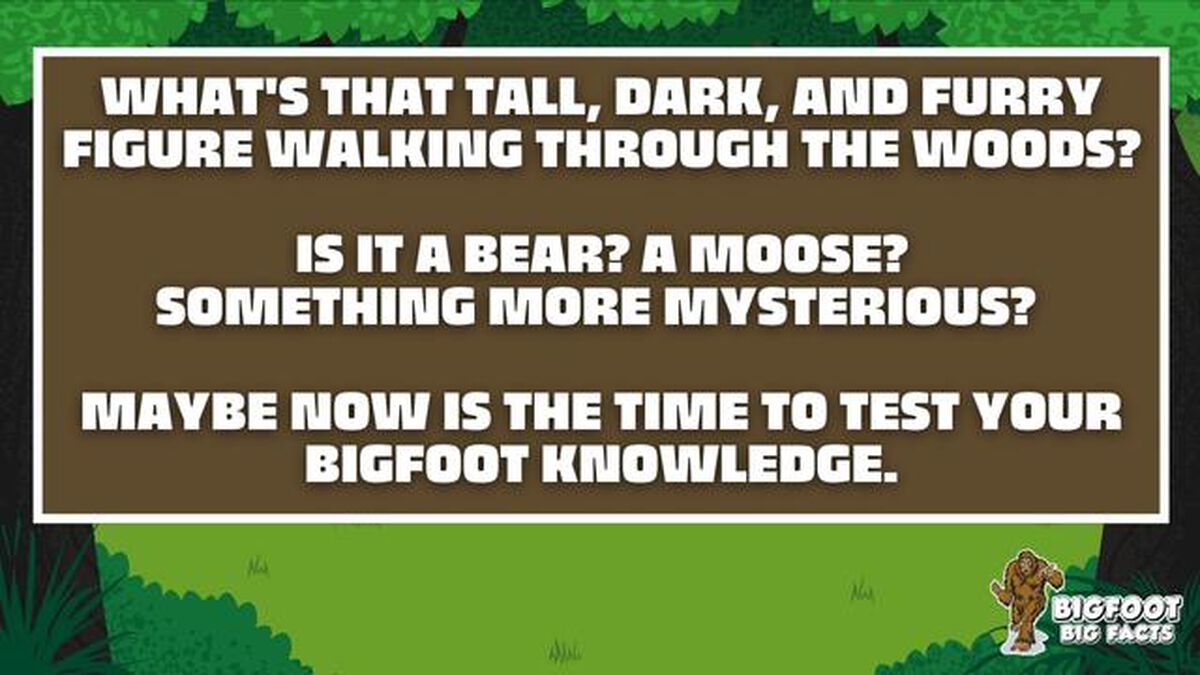 Bigfoot Big Facts image number 1
